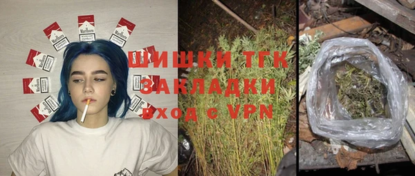 ПСИЛОЦИБИНОВЫЕ ГРИБЫ Алзамай