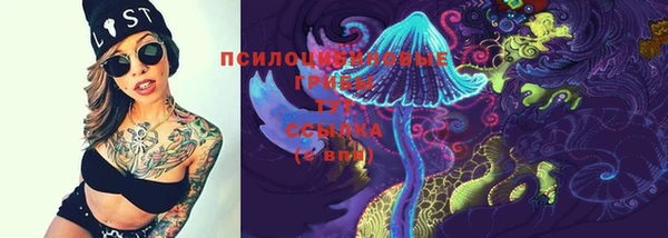ПСИЛОЦИБИНОВЫЕ ГРИБЫ Алзамай
